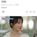 저출산이 이해되는 연예인들 그사세 수다(feat 밥이나한잔해) 이미지