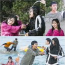 (주) 청춘 코퍼레이션
