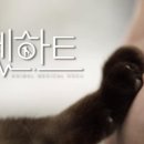 하트펫 동물병원 이미지