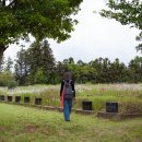 천주교 순례길 - 신축화해길 이미지