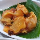 금강산물회 이미지