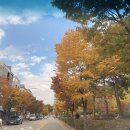 킹콩샤워 평촌직영점 이미지