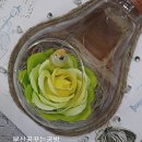 샤인아트 이미지