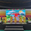 사파동289 이미지