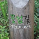 하화도 꽃섬길 민박 네이버블로그