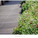 스위트허브 이미지