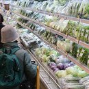 조성원예산지유통센터 이미지