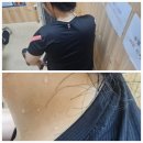 평화동010 이미지