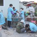 중앙애견미용 이미지