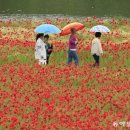 영산강둔치체육공원 이미지