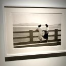 삼일대로 이미지