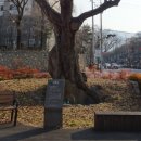 (주)프라임메디 이미지