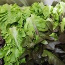 순애농장 이미지