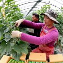 김병관농장 이미지