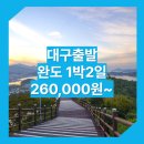 청해모텔 | 대구_완도_1박2일 #청산도 / 대구완도패키지