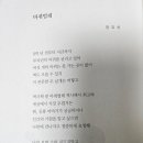 바퀴벌레/정유리 이미지