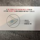 욜로홀로