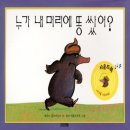 누가 내머리에 똥쌌어 이미지