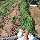 태균농장 이미지