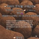 In my oven(인마이오븐)