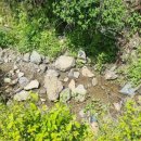 부등 농장 이미지