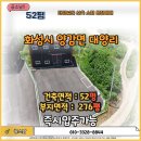 금복부동산공인중개사사무소 네이버블로그