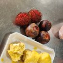 자유마트 | 냐짱 호핑투어, 마사지, 롯데마트&amp; 야시장 쇼핑 자유여행 후기 2