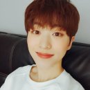 라운 이미지