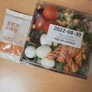 도매소미 | 블챌 주간일기 다섯 번째,,