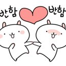 플로정아 - 11733 | 플로정아