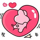 아이조아펫파크 동탄점 이미지