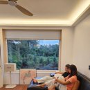 스테이 단밤 이미지