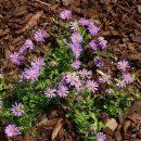 황룡강변2 이미지