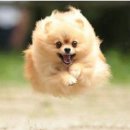 안녕하세요 이미지