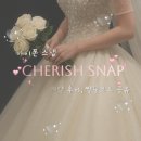 스냅(SNAP) | [W19 아이폰스냅] 체리쉬 스냅(Cherish snap) 계약후기, 연회장 무료촬영 ㅣ 짝꿍코드 공유