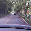 별꽃숲민박 이미지