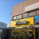 영암 삼호 카페 추천 빽다방 20주년 APP 리뉴얼 할인행사 실패없는 음료 메뉴 선택
