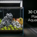 30CUBE아쿠아 네이버블로그