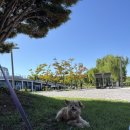 자이안트 | 안산 대형키즈카페 고잔동 자이언트제트 3살 아이랑 방문후기