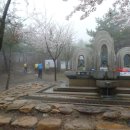 옹달샘약수터 Daum카페