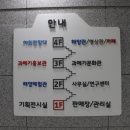 구룡포과메기