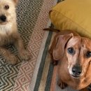 죽산면사무소 주차장 이미지