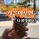 투썸플레이스 용호메트로시티점 | 붕어빵의 계절, 가을을 기다렸다🍂(부산 붕어빵 맛집+투썸의 환상조합)