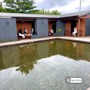 스테이 리네 이미지