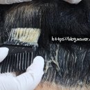 영이용원 네이버블로그