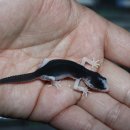 브리딩 팜 이미지