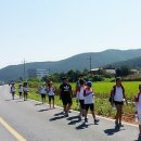 만우솔밭 이미지