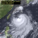 태풍센터근처 이미지