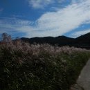 지에스25 여수소라점 이미지