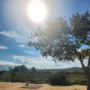 달샘목장 | [베트남,나트랑]판랑사막 개인렌트 추천해요!